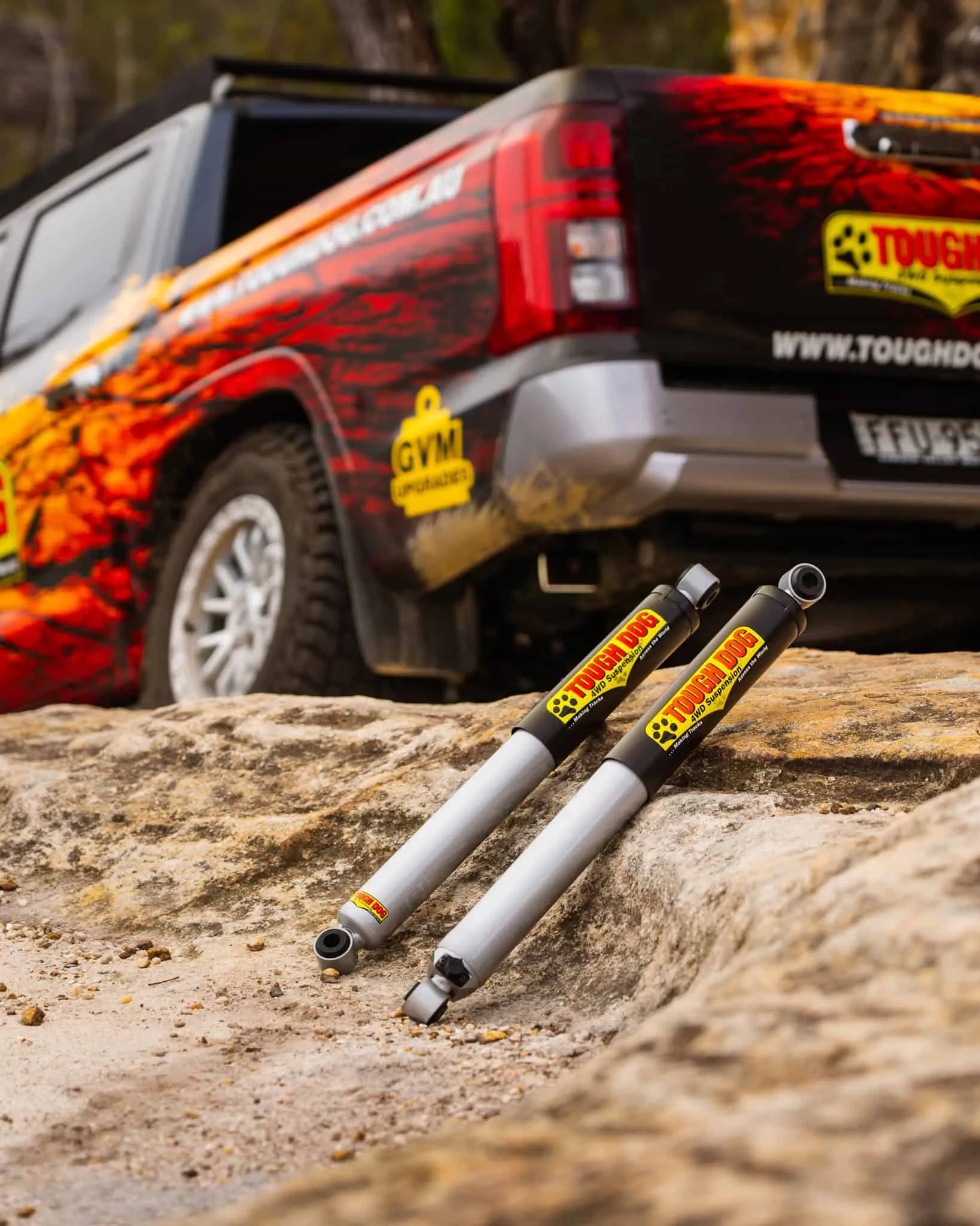 custom 4x4 Suspension