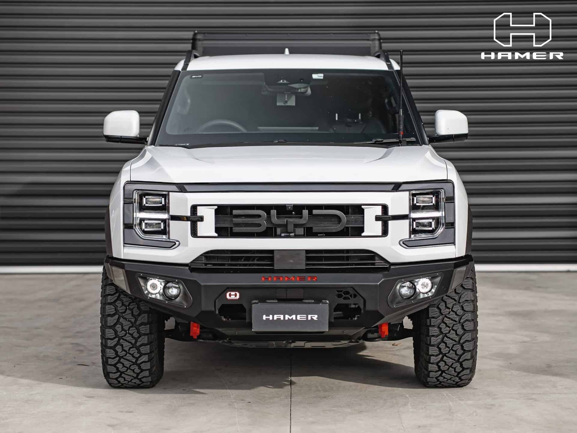 King series bull bar for BYD Shark 6 (2024 – Present) - Image 2